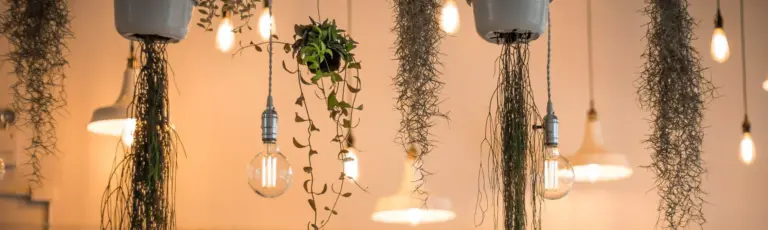 Bekal Ringan untuk Aktivitas Seharian